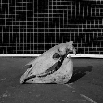 Still from Walsmley's Savages (2014)